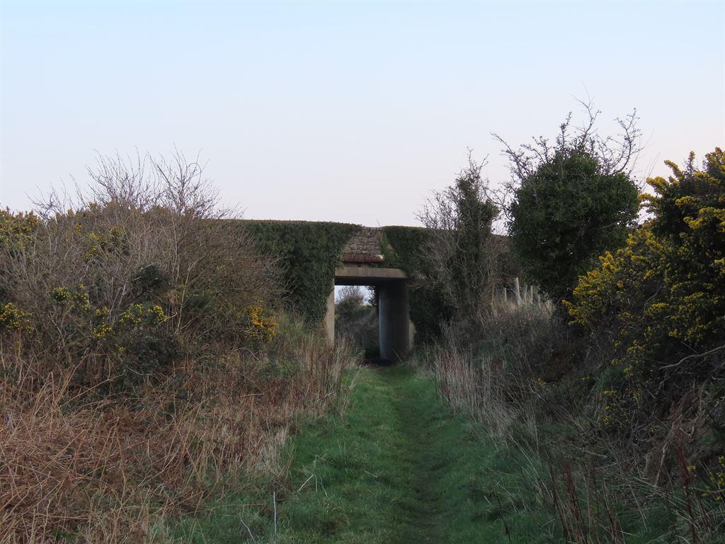 bridge1