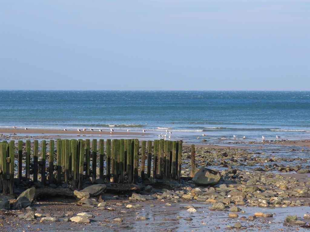 seadefences