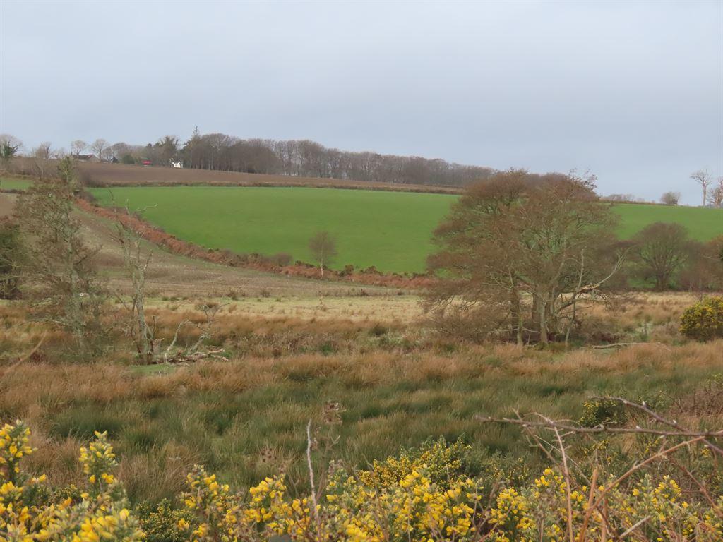 hills
