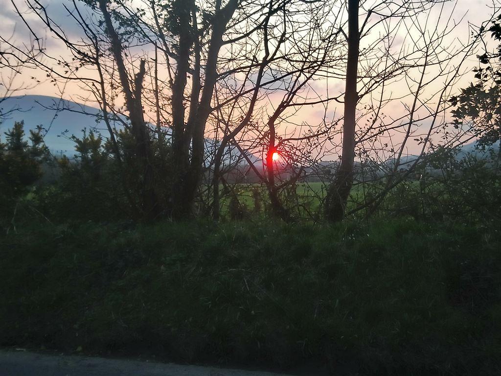 sunrise