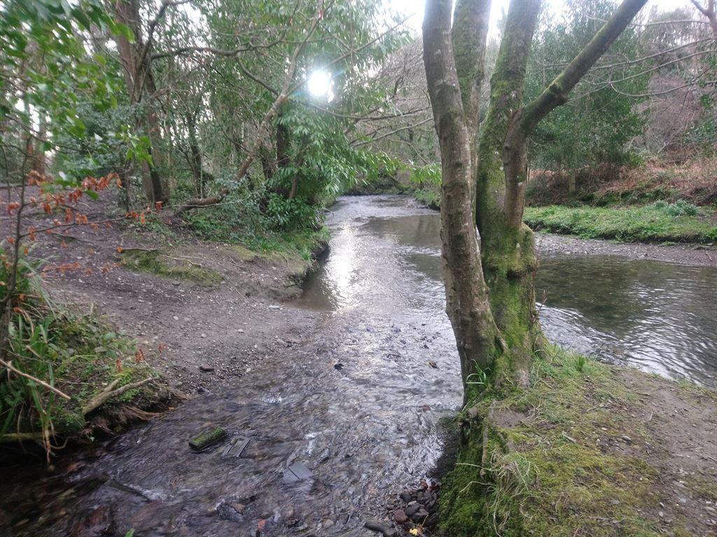 river1