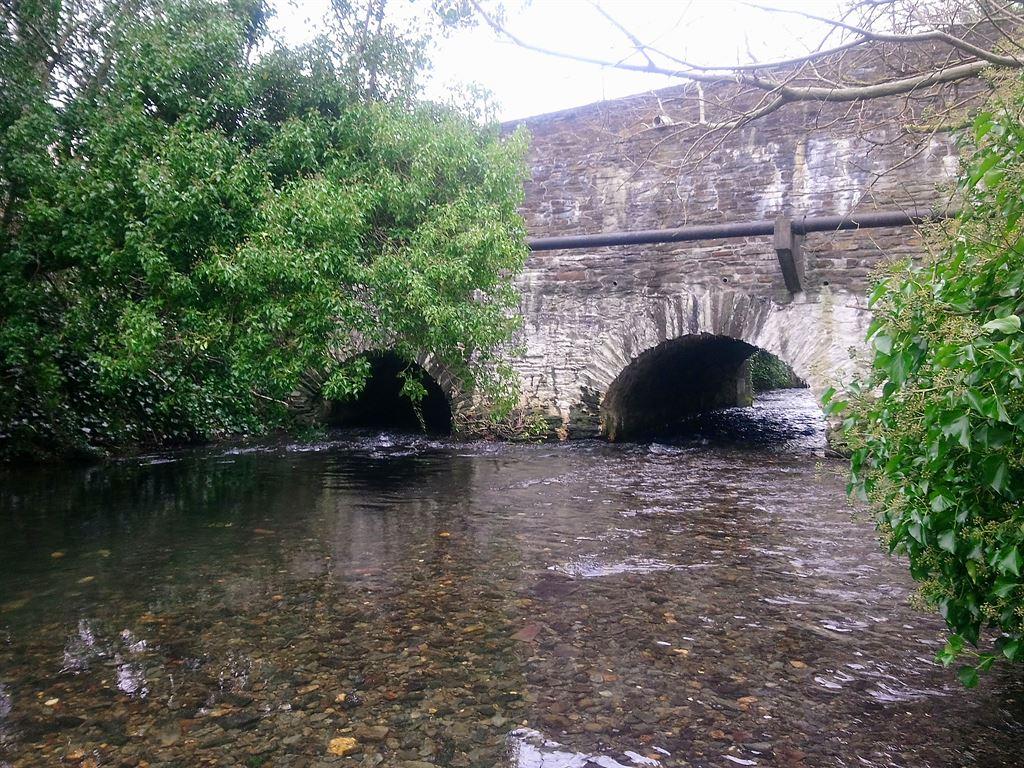 bridge1