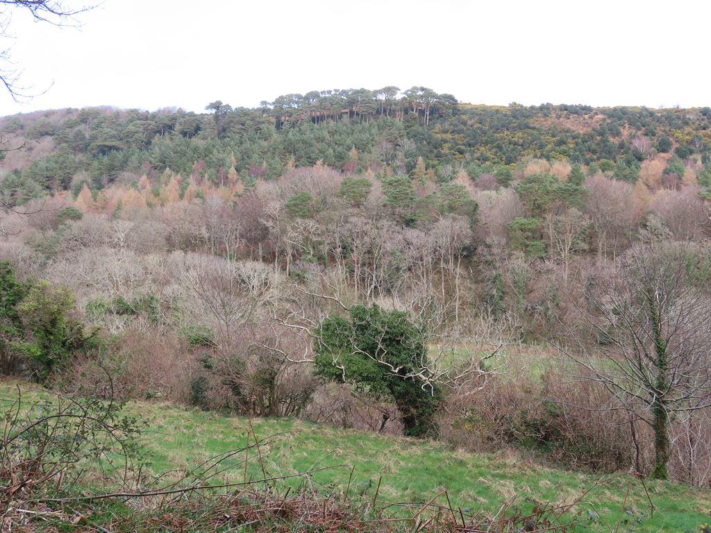 valleyside