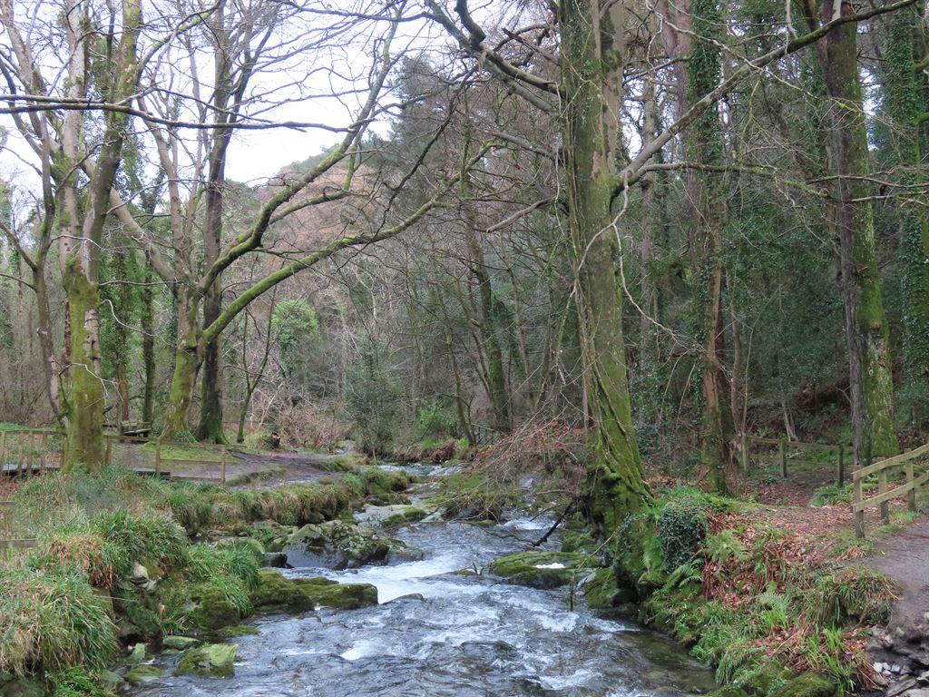 glen1