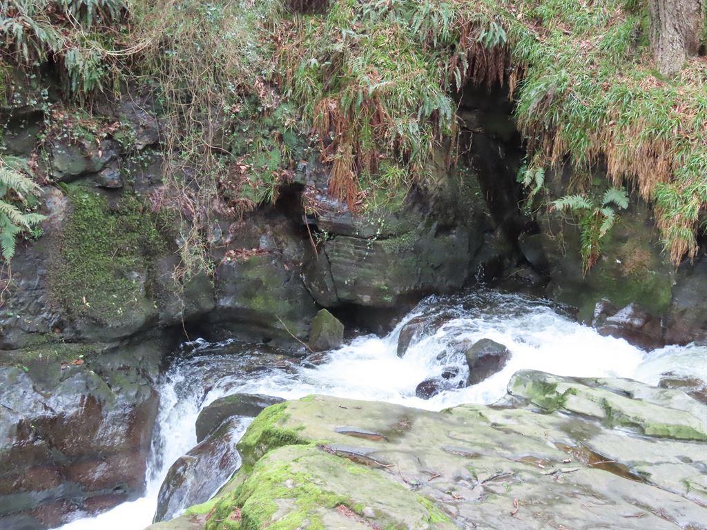 glen4
