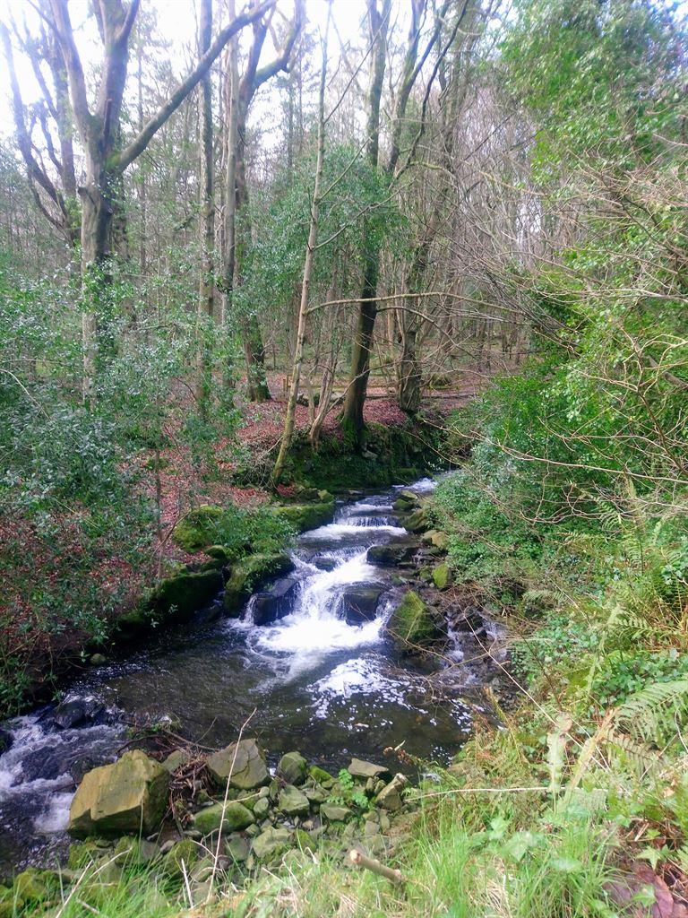 river1