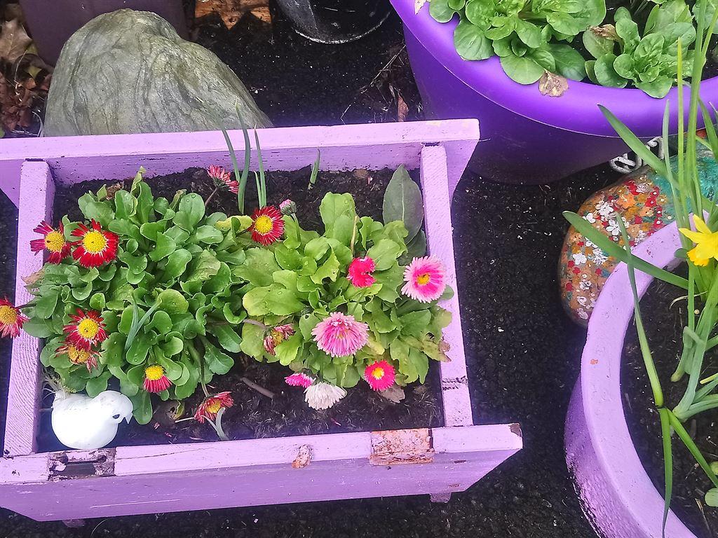 planter