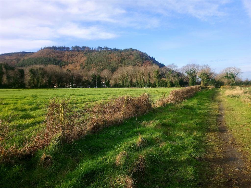 hills