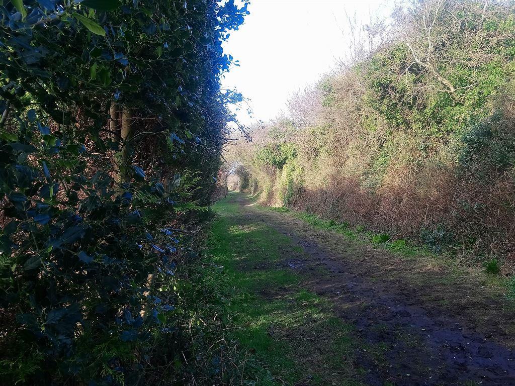 anothertunnel