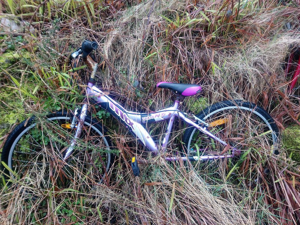 bike