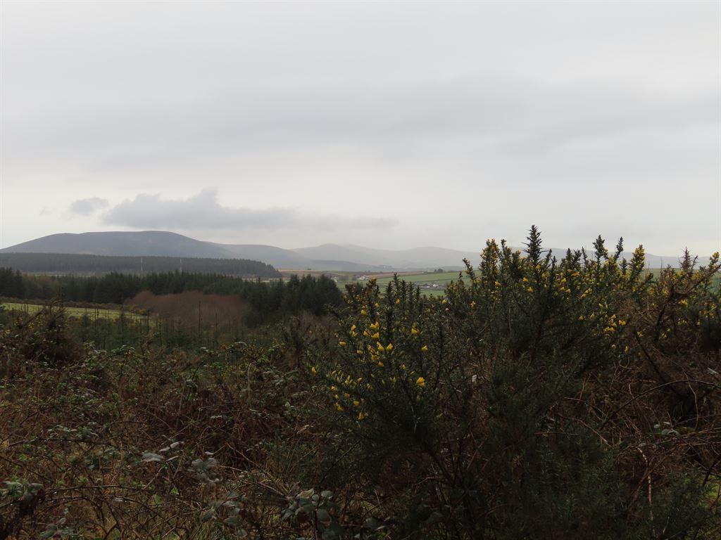 view1