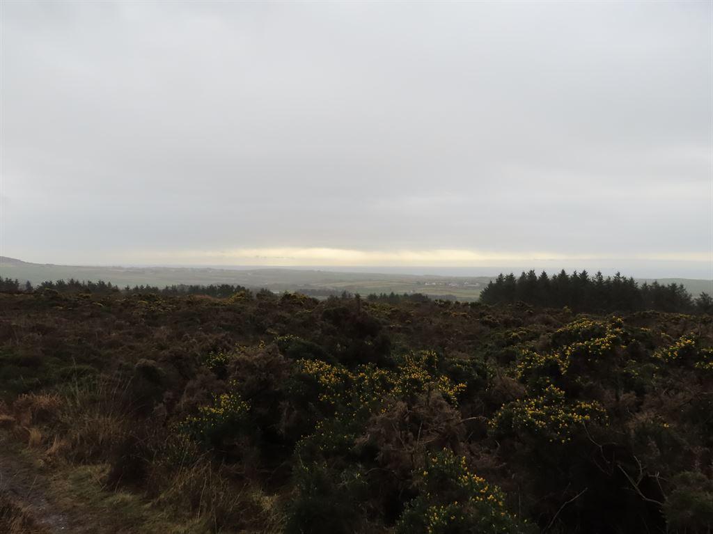 view2