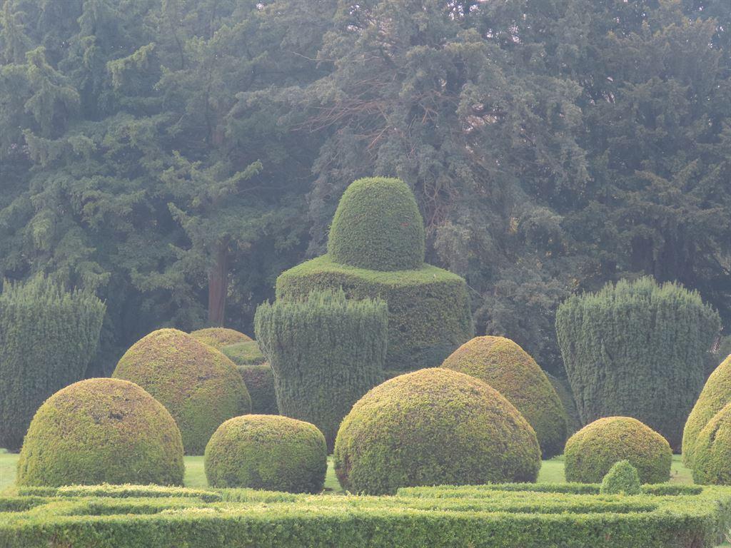 topiary1