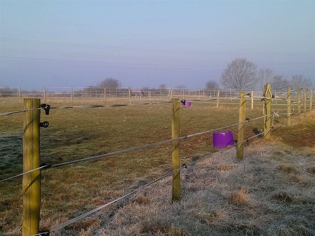 field