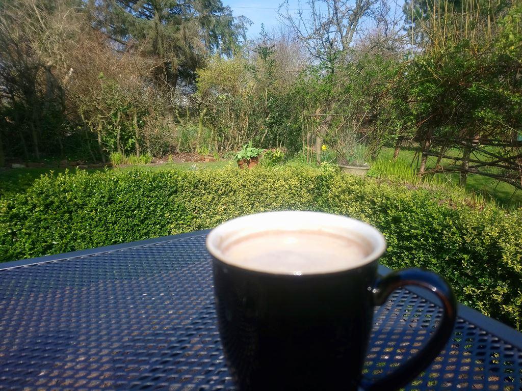 coffee