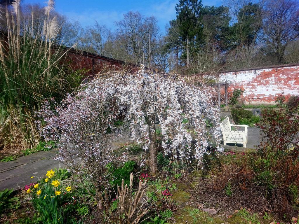 enggarden1