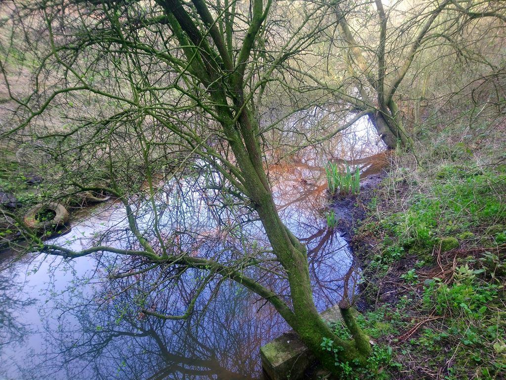 canal