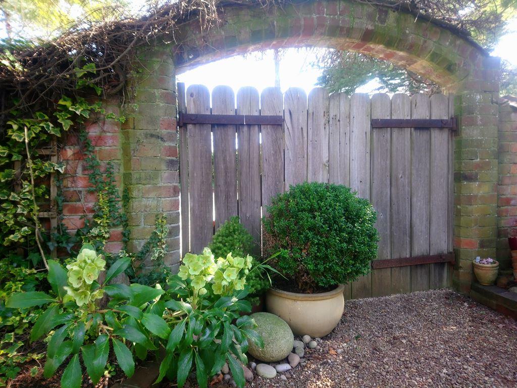 garden1