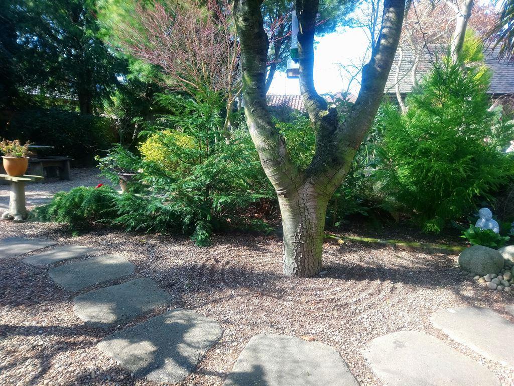 garden2