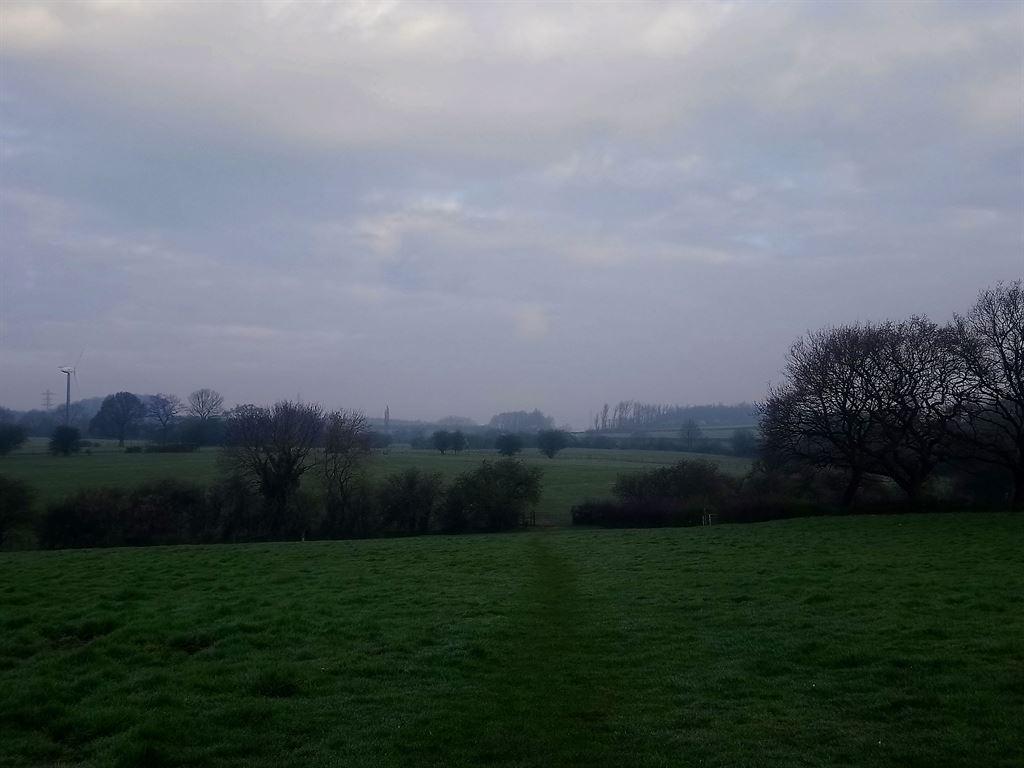 fields