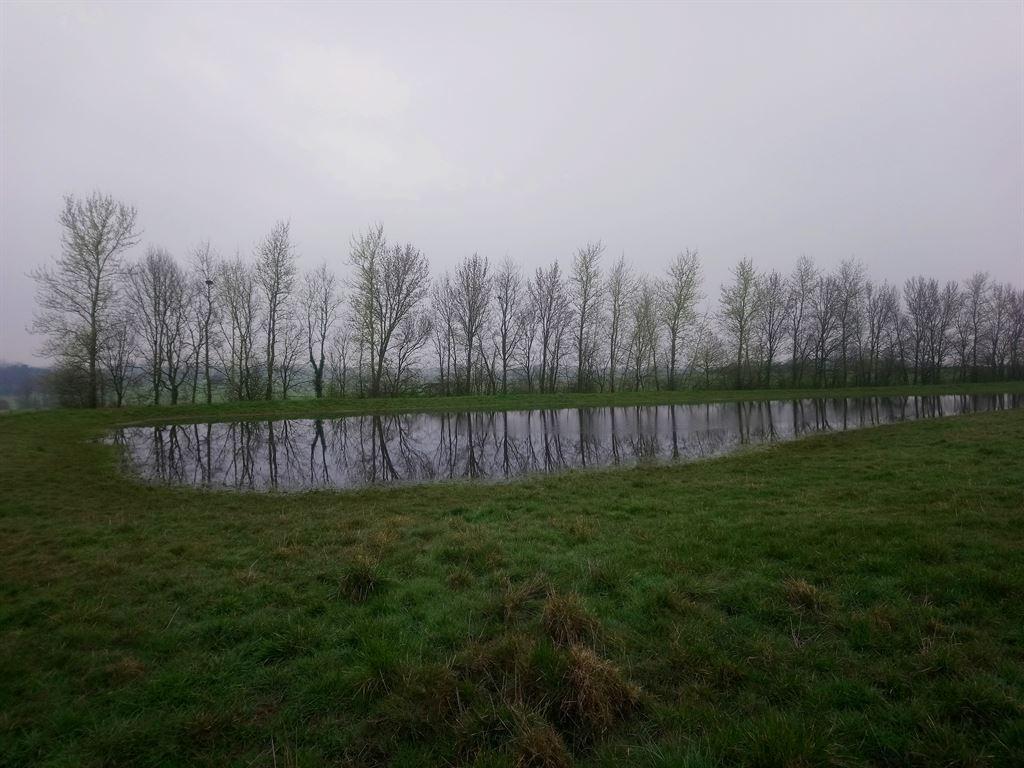 pond
