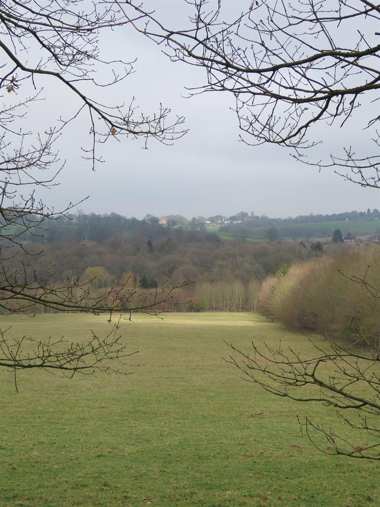 view1