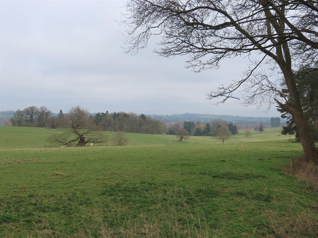view2