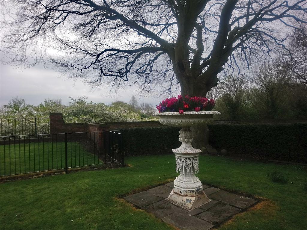 garden1