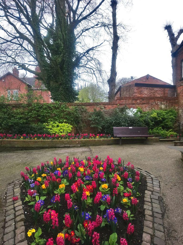garden2