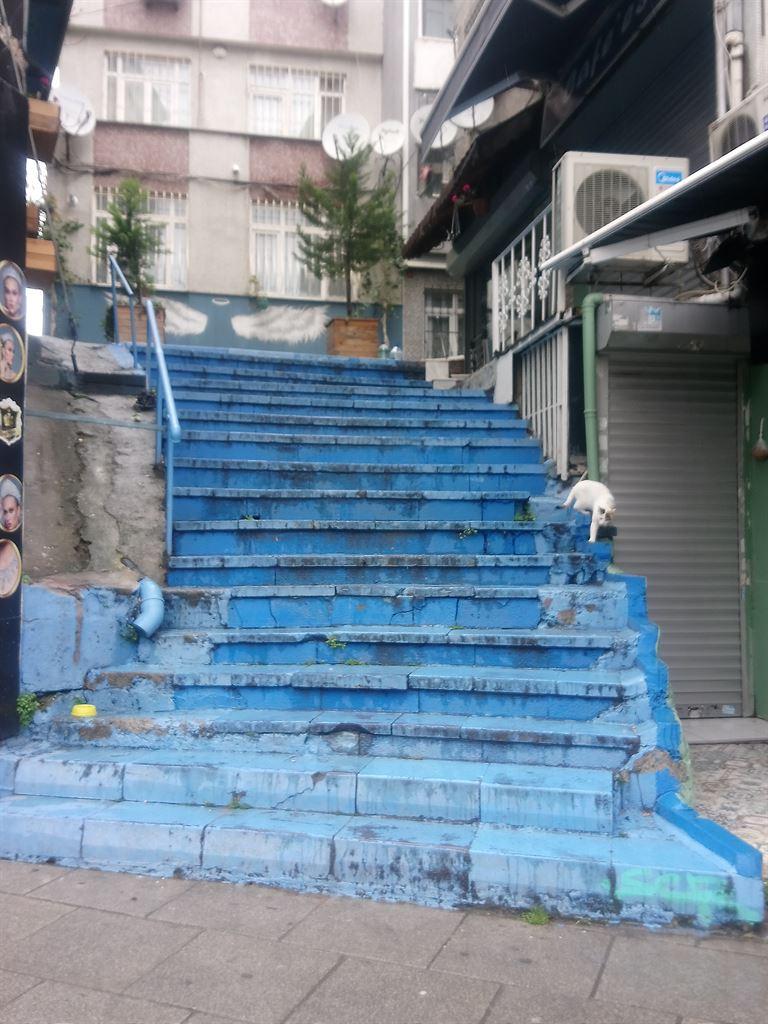 staircat