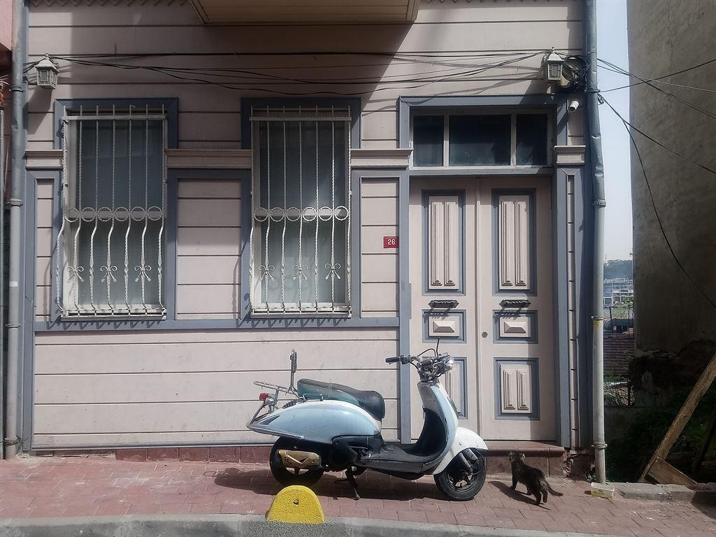 scootercat