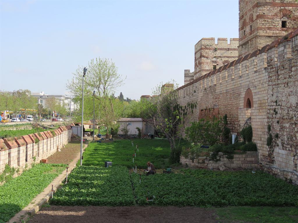 garden2