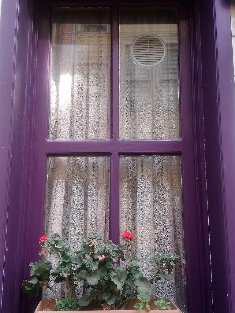 window
