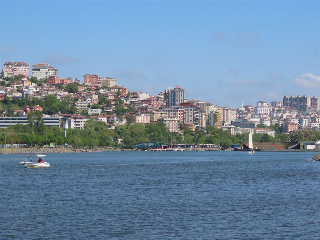 riverbank