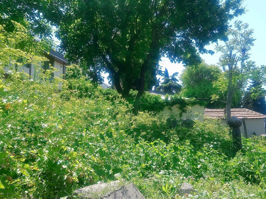 oldgraves