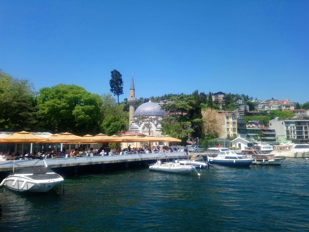 bebek1