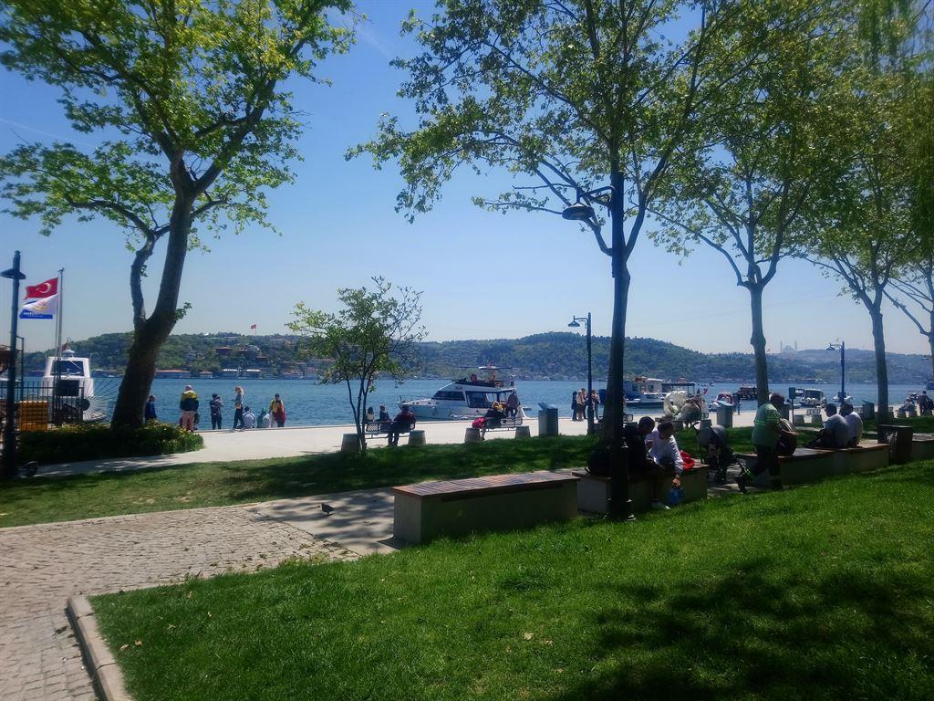bebek2