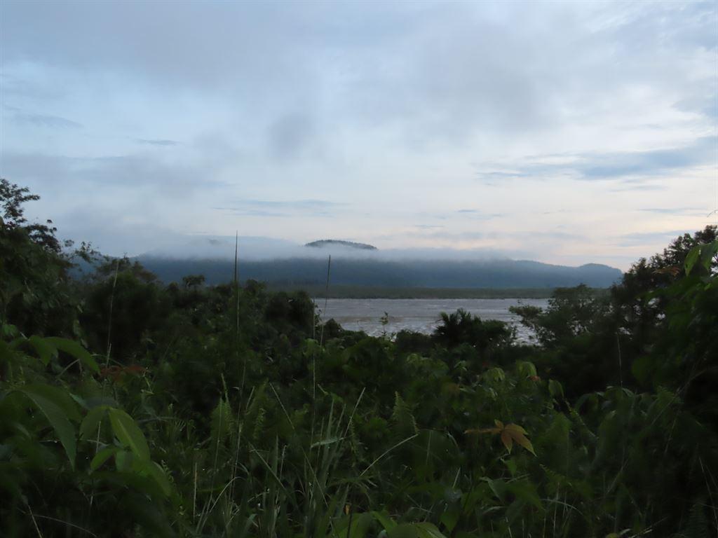 view1