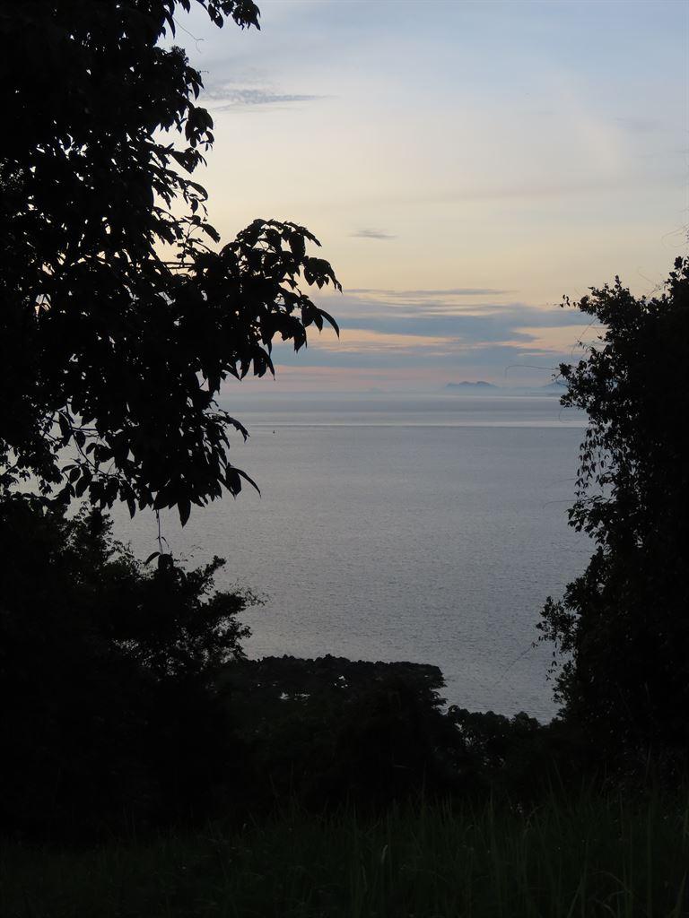 view3