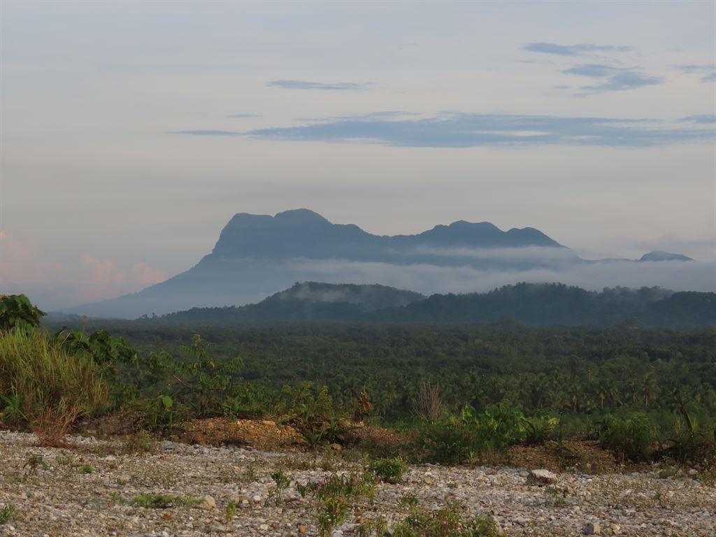 view4