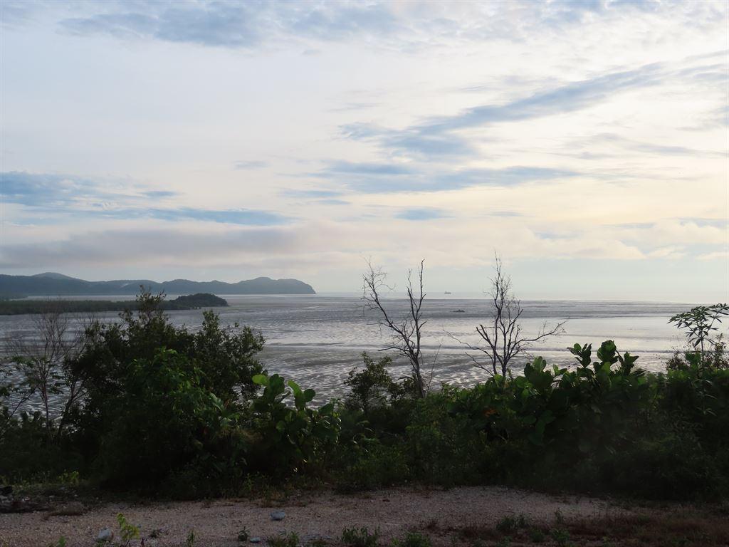 view5