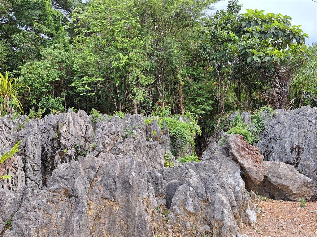 maze1