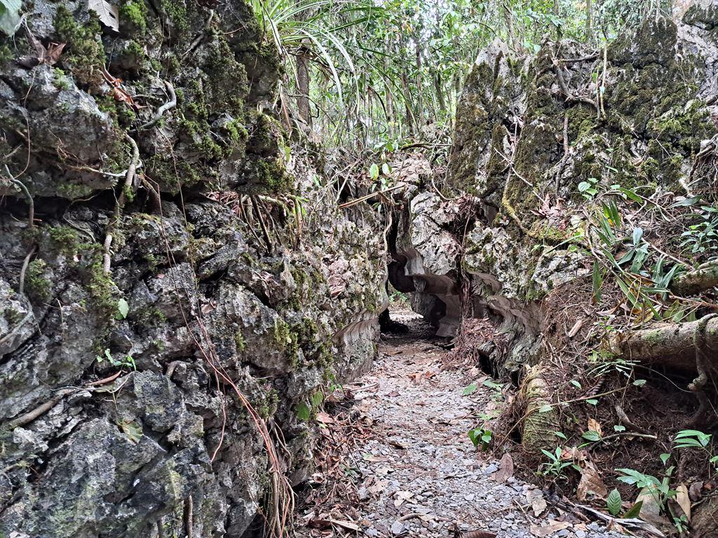 maze7