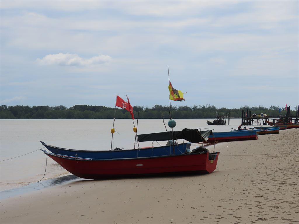 boats