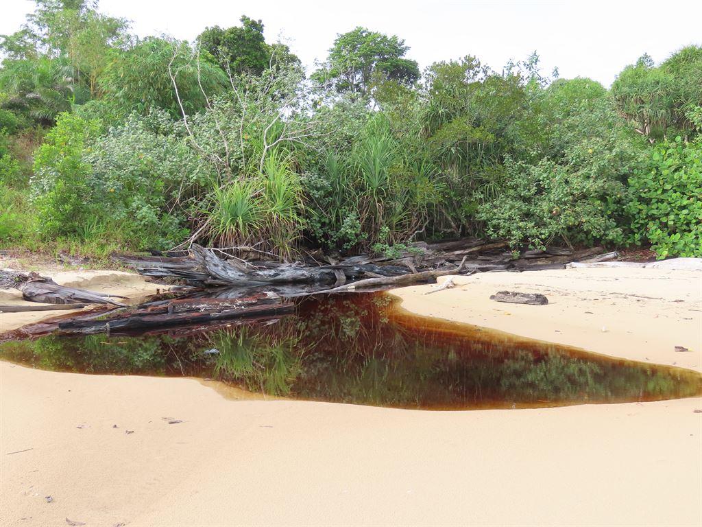 peat
