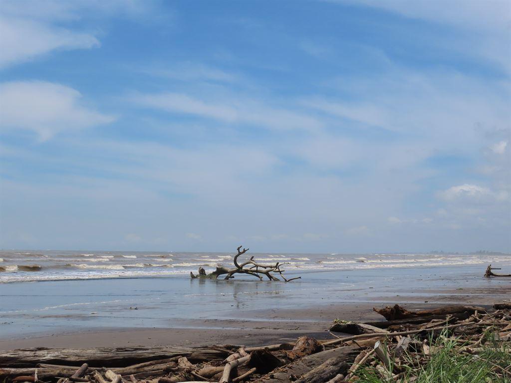 beach1