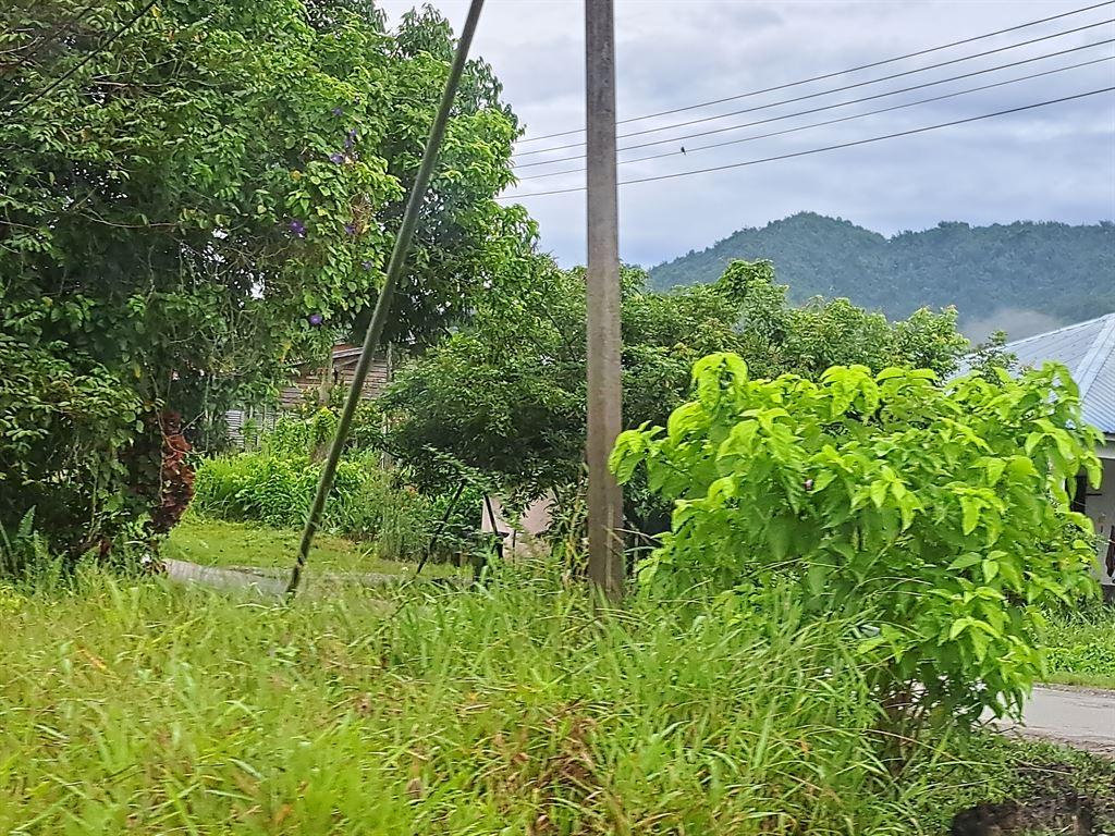 hills&green