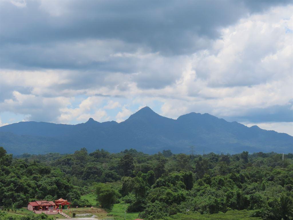 view6