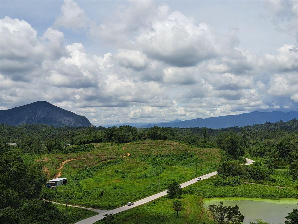 view