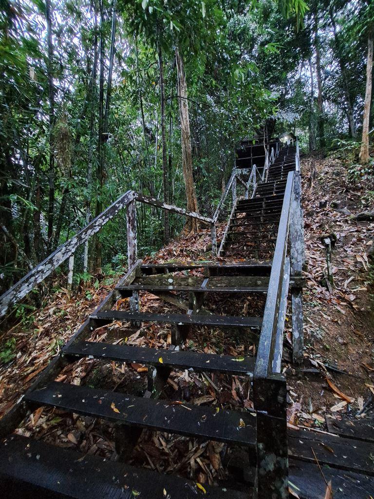steps